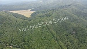 Teren de vânzare în apropiere de Transfăgărășan și Valea Vâlsanului. - imagine 8
