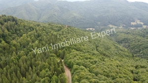 Teren de vânzare în apropiere de Transfăgărășan și Valea Vâlsanului. - imagine 9