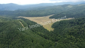 Teren de vânzare în apropiere de Transfăgărășan și Valea Vâlsanului. - imagine 7