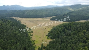 Teren de vânzare în apropiere de Transfăgărășan și Valea Vâlsanului. - imagine 6