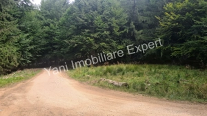 Teren de vânzare în apropiere de Transfăgărășan și Valea Vâlsanului. - imagine 15