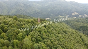 Teren de vânzare în apropiere de Transfăgărășan și Valea Vâlsanului. - imagine 10