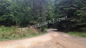Teren de vânzare în apropiere de Transfăgărășan și Valea Vâlsanului. - imagine 13