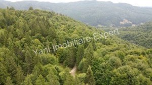 Teren de vânzare în apropiere de Transfăgărășan și Valea Vâlsanului. - imagine 12