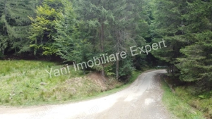 Teren de vânzare în apropiere de Transfăgărășan și Valea Vâlsanului. - imagine 11