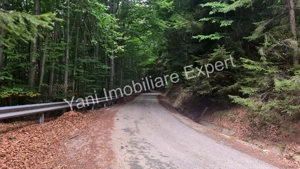 Teren de vânzare în apropiere de Transfăgărășan și Valea Vâlsanului. - imagine 14