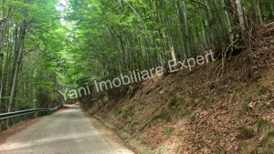 Teren de vânzare în apropiere de Transfăgărășan și Valea Vâlsanului. - imagine 17