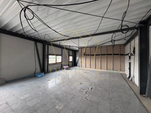 Hale industriale noi | Sanandrei | A1 - imagine 6