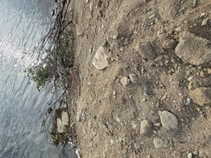 Teren cu iesire la dunare - imagine 3