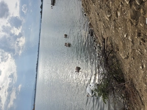 Teren cu iesire la dunare - imagine 2