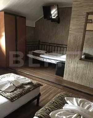 Pensiune de inchiriat, 450 mp, zona Lugojului - imagine 5