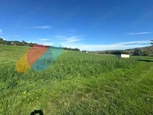 Teren intravilan 2550mp in Sopor - imagine 2