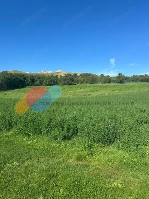 Teren intravilan 2550mp in Sopor - imagine 3