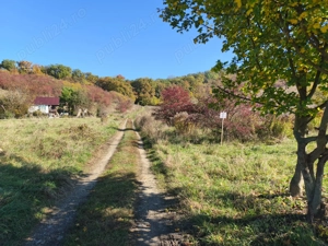 Vând teren intravilan în Târgu Mureș suprafață de 1598 mp. zona Dedeman - imagine 2