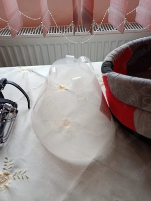 Produse pentru Căteluși - imagine 2