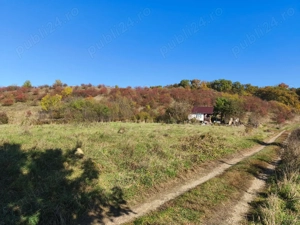 Vând teren intravilan în Târgu Mureș suprafață de 1598 mp. zona Dedeman - imagine 3