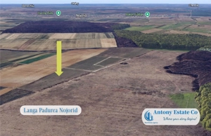 Oportunitate de investitie - Teren Cihei, langa Padurea Nojorid - imagine 5 Oportunitate de investitie - Teren Cihei, langa Padurea Nojorid - imagine 5