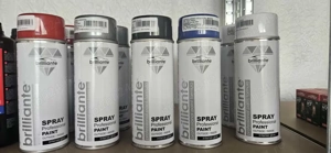 Piese Auto Maracineni si Argeselu - imagine 9