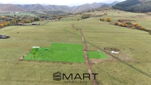 Teren  extravilan 2500 mp in Orlat