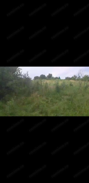  5000m2 inchiriez teren intravilan la doar 27km de Iasi n SAT Horlesti COM HORLESTI - imagine 4