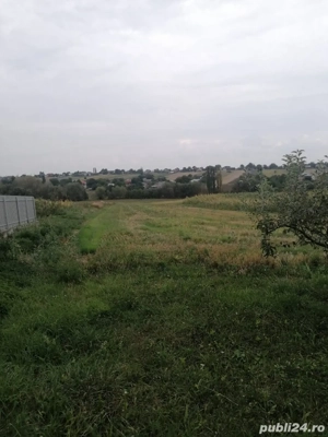 Casă de vânzare + teren 4700 m2 - imagine 4