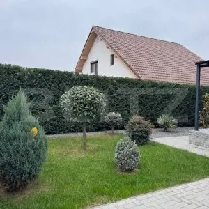 Casa cu 3 camere, curte proprie, Grigorescu - imagine 4