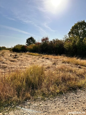 vand teren Hințesti  - imagine 3