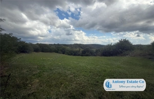 Teren extravilan, de vanzare, Uileacu de Cris, Bihor - imagine 4