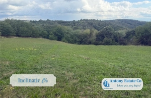 Teren extravilan, de vanzare, Uileacu de Cris, Bihor - imagine 3