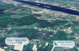 Teren extravilan, de vanzare, Uileacu de Cris, Bihor - imagine 2