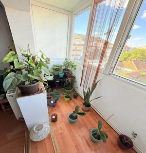 Apartament cu 2 camere în Calea Lipovei in fata etaj 3 amenajat centrala - imagine 3