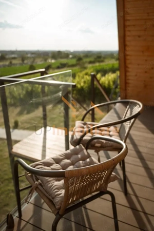 COMPLEX TURISTIC | SAT RONTAU | ZONA BAILE 1 MAI | BIHOR - imagine 7