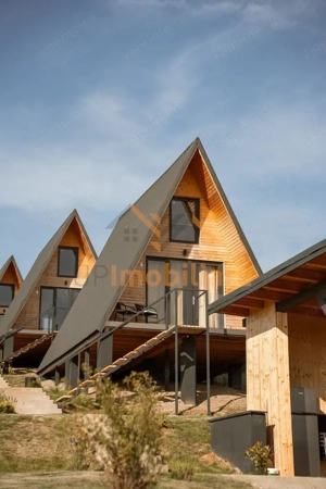 COMPLEX TURISTIC | SAT RONTAU | ZONA BAILE 1 MAI | BIHOR - imagine 11