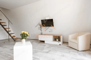 COMPLEX TURISTIC | SAT RONTAU | ZONA BAILE 1 MAI | BIHOR - imagine 9