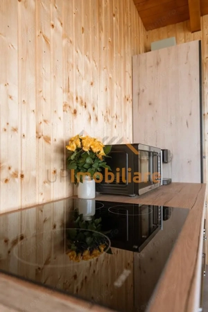 COMPLEX TURISTIC | SAT RONTAU | ZONA BAILE 1 MAI | BIHOR - imagine 19