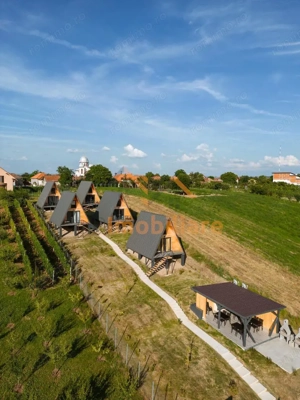 COMPLEX TURISTIC | SAT RONTAU | ZONA BAILE 1 MAI | BIHOR - imagine 3