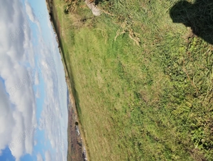 Teren extravilan 4600mp - imagine 2