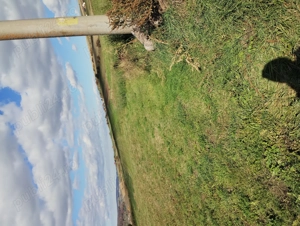 Teren extravilan 4600mp - imagine 4