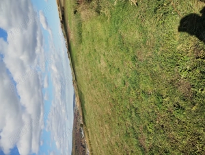 Teren extravilan 4600mp - imagine 3