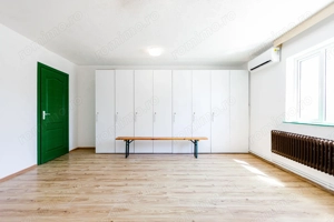 De vanzare proprietate pretabila cazare/locuire/pensiune rurala,  Carani, Timis - imagine 14