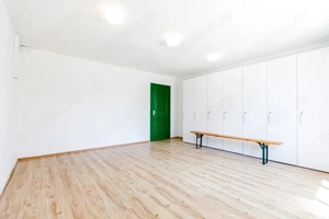 De vanzare proprietate pretabila cazare/locuire/pensiune rurala,  Carani, Timis - imagine 12