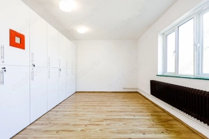 De vanzare proprietate pretabila cazare/locuire/pensiune rurala,  Carani, Timis - imagine 16