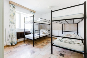 De vanzare proprietate pretabila cazare/locuire/pensiune rurala,  Carani, Timis - imagine 19