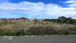 Teren intravilan, 801 mp, Frumuseni