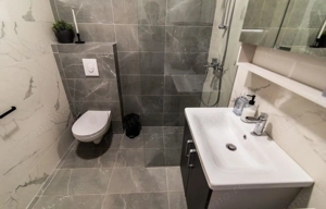 Apartament cu doua camere de inchiriat in zona Victoriei - imagine 5