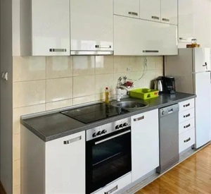 Apartament cu 2 camere de inchiriat in zona Titan - imagine 5