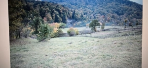 Teren Garcina-Cuiejdi