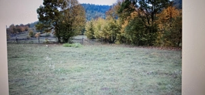 Teren Garcina-Cuiejdi - imagine 3