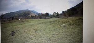 Teren Garcina-Cuiejdi - imagine 2