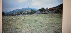 Teren Garcina-Cuiejdi - imagine 5